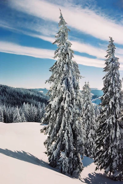 पर्वत हिवाळा लँडस्केप — स्टॉक फोटो, इमेज