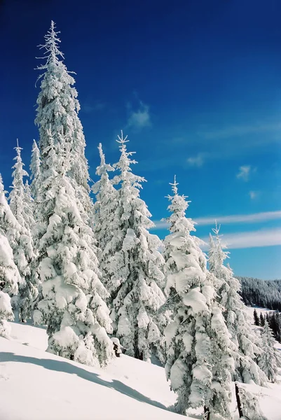 Winterlandschaft in den Bergen — Stockfoto