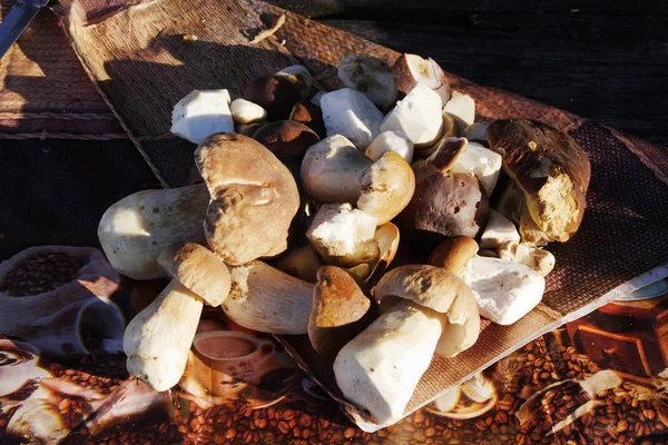 Penny bun (Boletus edulis)   on the table — Stock Photo, Image