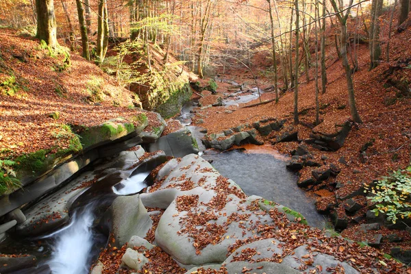 Waterfall in the autumn beech forest — Stock Photo, Image