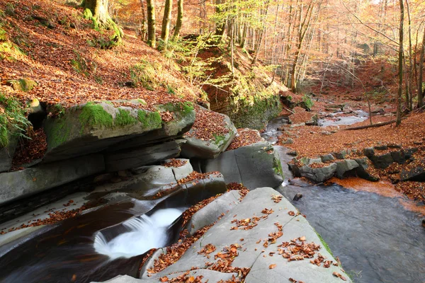 Cascada en el bosque de hayas de otoño — Foto de Stock
