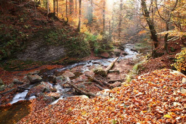 Cascada en el bosque de hayas de otoño — Foto de Stock