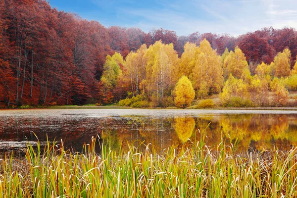 秋の山中湖 — ストック写真