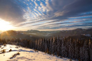 Karpatlar kışın gündoğumu