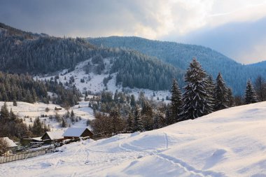 Karpatya dağlarında kış