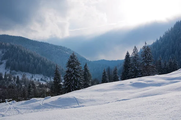 Vinter i Karpaterna — Stockfoto