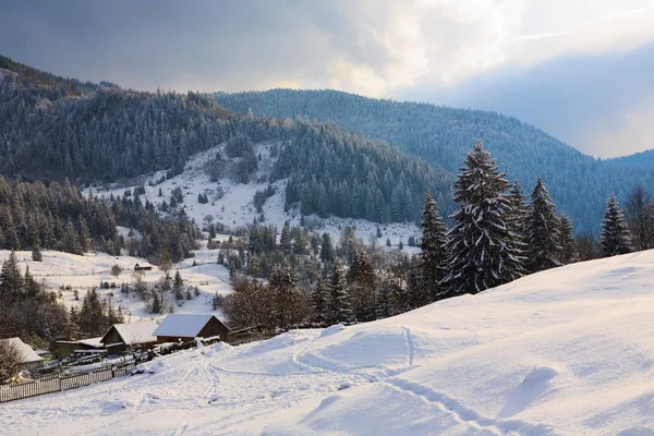 Karpatya dağlarında kış — Stok fotoğraf