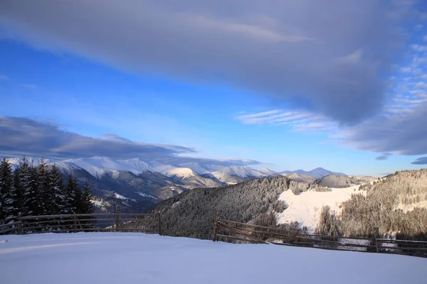 Inverno nas montanhas dos Cárpatos — Fotografia de Stock