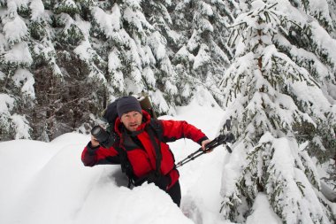 kış orman fotoğrafçı.