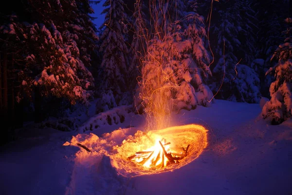 Bonfire in the winter forest illuminates the snow.