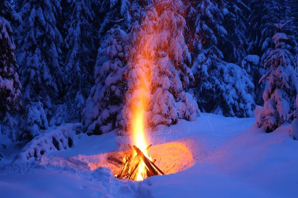 Hoguera en el bosque de invierno ilumina la nieve . — Foto de Stock