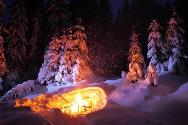 Hoguera en el bosque de invierno ilumina la nieve . — Foto de Stock