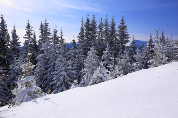 Invierno en las montañas de los carpatos —  Fotos de Stock