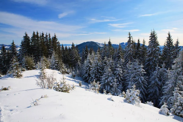 Inverno nas montanhas dos Cárpatos — Fotografia de Stock