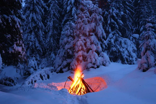 Fogueira na floresta de inverno ilumina a neve . — Fotografia de Stock