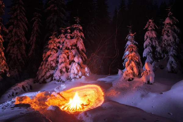 Bonfire in the winter forest illuminates the snow.