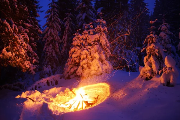 Hoguera en el bosque de invierno ilumina la nieve . — Foto de Stock