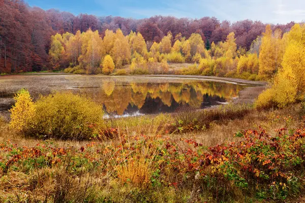 秋の山中湖 — ストック写真