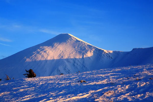 Hoverla Mountain in winter in the setting sun. — Stock Photo, Image