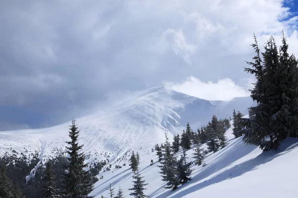 Gunung Hoverla di musim dingin . — Stok Foto
