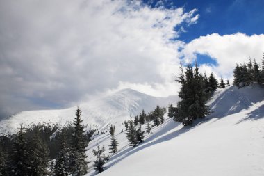 Kışın Hoverla Dağı. Doğu Karpatlar.