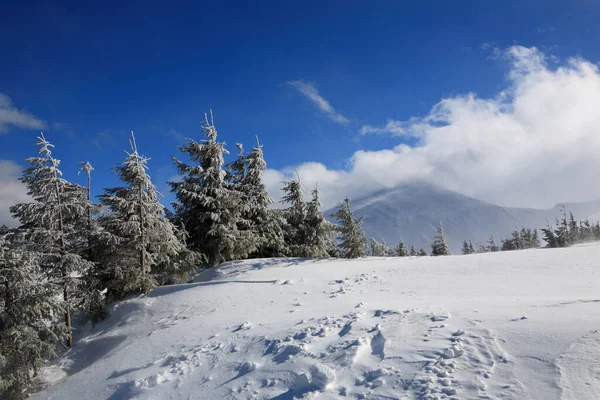 Kışın Hoverla Dağı Doğu Karpatlar — Stok fotoğraf