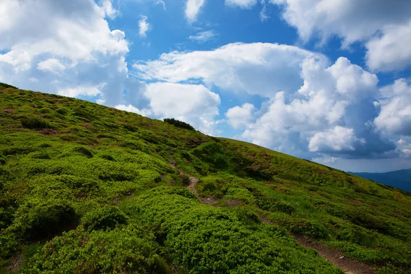 Hermoso Cielo Con Nubes Sobre Los Cárpatos — Foto de Stock