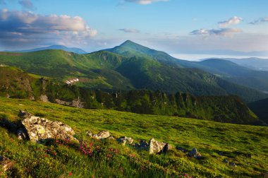 Yaz günü dağların manzarası harikadır.
