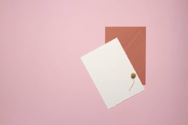 Düğün davetiyeleri ve doğum günleri için minimalist zarif şablonlar. Yukarıdan manzara. Beyaz kağıttan yapılmış kart, zarf, altın elementler, arka planda biberiye filizi - pembe kağıt. Model.