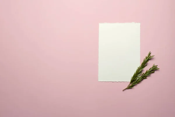 Minimalistic elegant templates for wedding invitations, birthdays. The view from the top. Card made of white paper, envelope, gold elements, sprigs of rosemary on the background - pink paper. Mock-up.