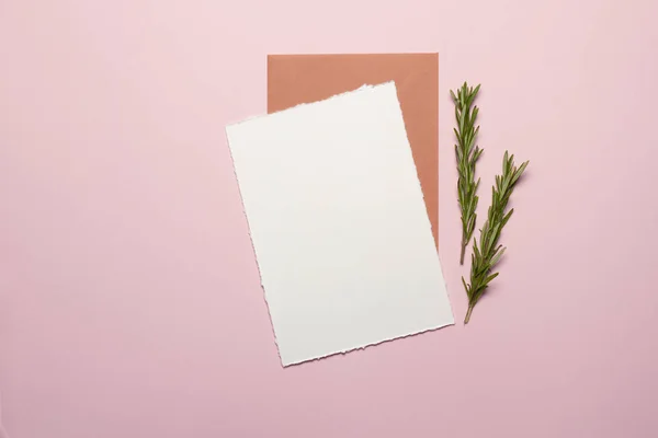 Düğün davetiyeleri ve doğum günleri için minimalist zarif şablonlar. Yukarıdan manzara. Beyaz kağıttan yapılmış kart, zarf, altın elementler, arka planda biberiye filizi - pembe kağıt. Model.