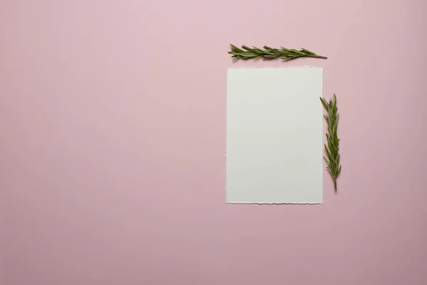 Düğün davetiyeleri ve doğum günleri için minimalist zarif şablonlar. Yukarıdan manzara. Beyaz kağıttan yapılmış kart, zarf, altın elementler, arka planda biberiye filizi - pembe kağıt. Model.