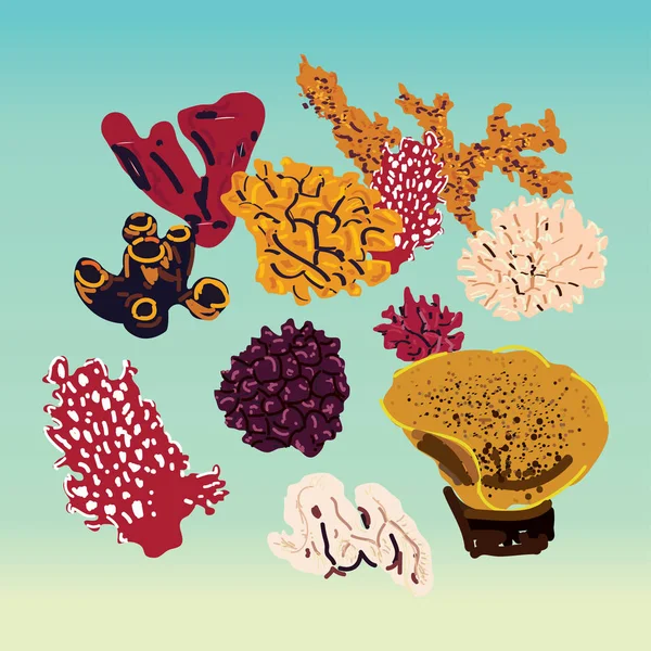 Uppsättning Isolerade Färgglada Koraller Vit Bakgrund Vektor Undervattens Flora Och — Stock vektor