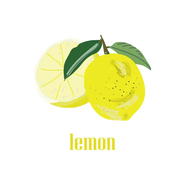 Иллюстрация Изображением Лимона Лимона Разрезе Яркий Фруктовый Логотип Иконка Вашего — стоковый вектор