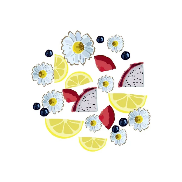 Grande Conjunto Frutas Doodle Ilustração Isolada Fundo Branco Vetor Frutas — Vetor de Stock