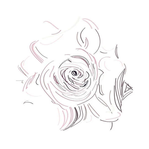 Rose Contour Rose Fond Coloré Avec Floraison Fleurs Thème Été — Image vectorielle