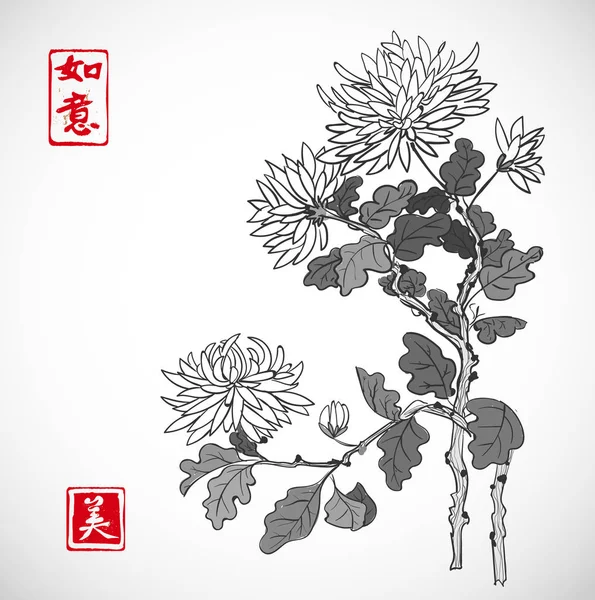 Traditionella orientaliska bläck chrysanthemumblommor — Stock vektor