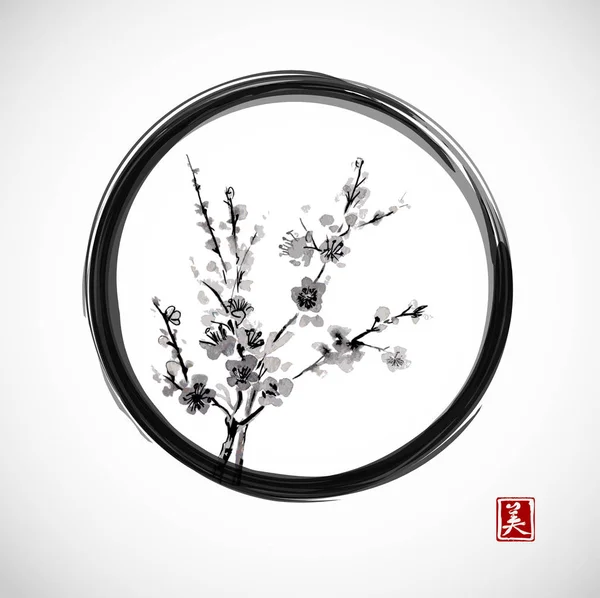 Orientalisk körsbär gren blommande i zen cirkeln — Stock vektor