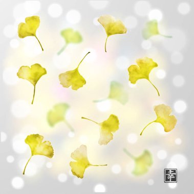 Yeşil ve sarı Ginkgo biloba yaprakları