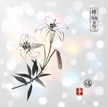 Beyaz Zambak çiçekler