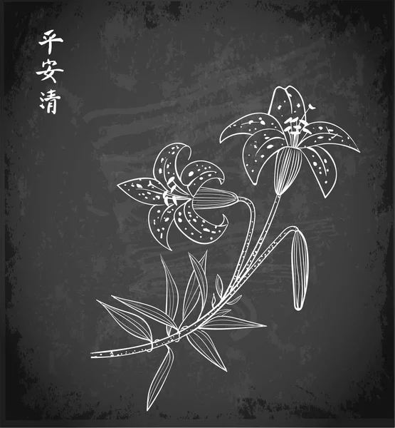 Flores de lirio sobre fondo pizarra — Archivo Imágenes Vectoriales