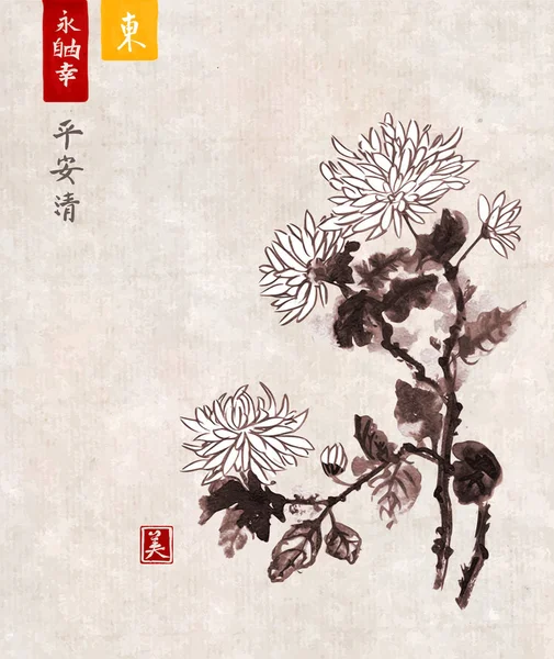 Παραδοσιακή ανατολίτικη μελάνι χρυσάνθεμο λουλούδια — Διανυσματικό Αρχείο