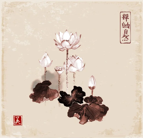 Tradicional loto blanco oriental — Vector de stock