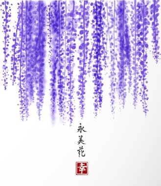 Wisteria elle mürekkeple çizilmiş