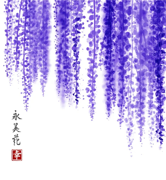 Wisteria elle mürekkeple çizilmiş