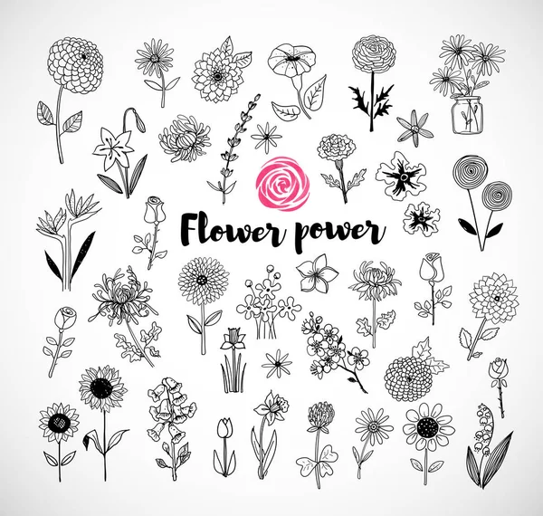 Conjunto de flores doodle — Vetor de Stock