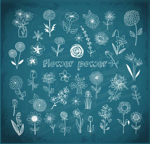 Set of doodle flowers — Stock Vector