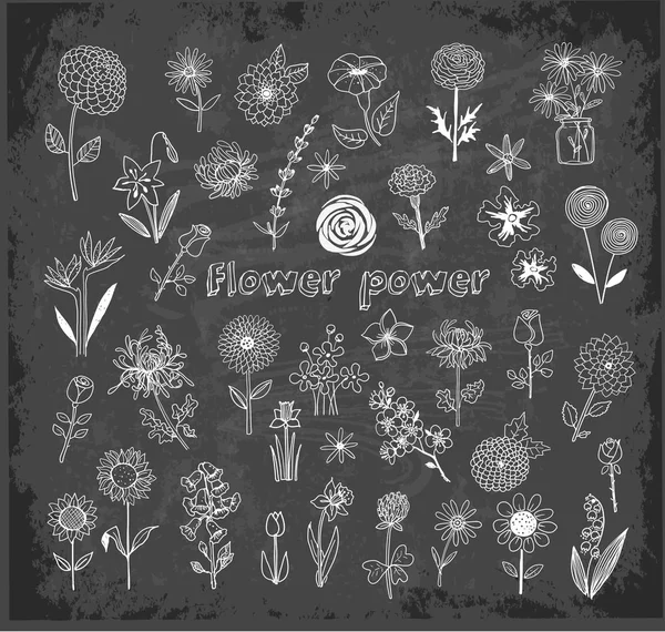 Ensemble de fleurs croquis doodle — Image vectorielle