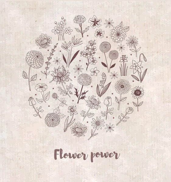 Uppsättning av doodle skiss blommor — Stock vektor