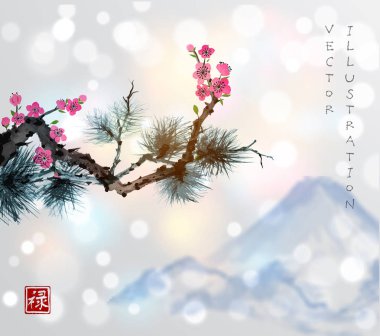 Çam ağacı dalı Japon tarzı